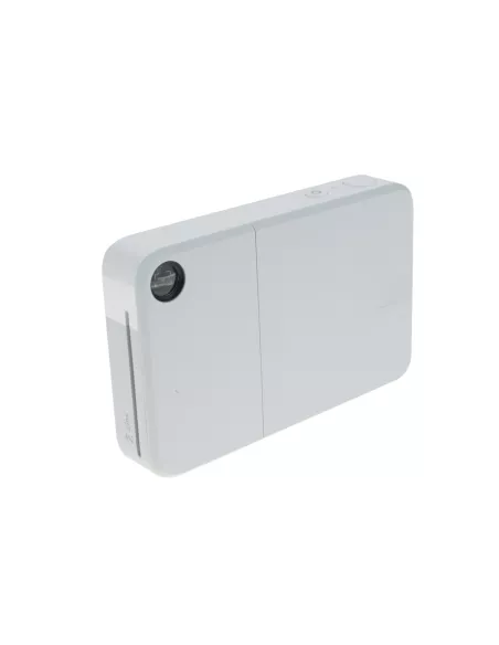 Kodak Printomatic