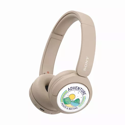Sony WH-CH520 Wireless custom Headphones