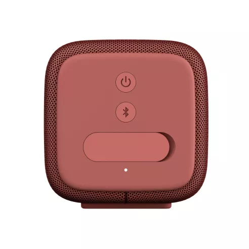 Fresh n Rebel Rockbox Bold S