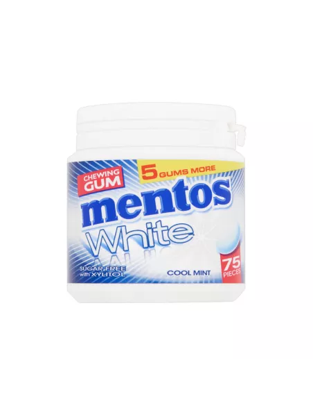 Mentos Gum Mint 75 pcs