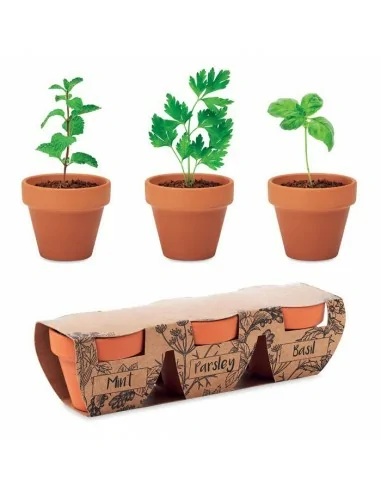 Terracotta 3 herb pot set FLOWERPOT |...
