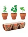 Terracotta 3 herb pot set FLOWERPOT | MO6145