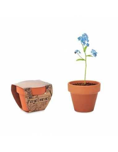 Terracotta pot 'forget me not' FORGET...