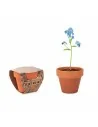 Terracotta pot 'forget me not' FORGET ME NOT | MO6146