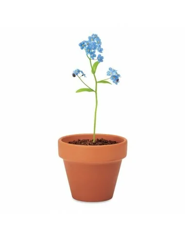 Terracotta pot 'forget me not' FORGET...