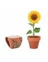 Terracotta pot 'sunflower' SUNFLOWER | MO6147