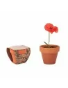 Terracotta pot 'poppy' RED POPPY | MO6148