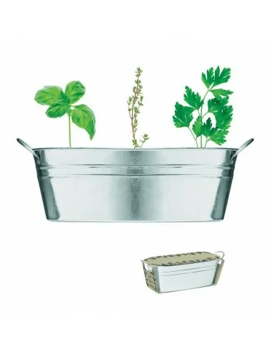 Zinc tub with 3 herbs seeds MIX SEEDS...