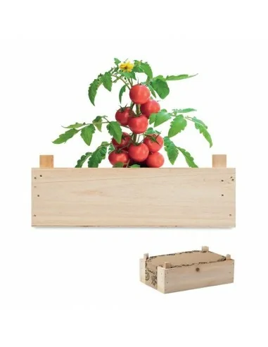 Mini-huerto tomates en caja TOMATO |...
