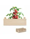 Mini-huerto tomates en caja TOMATO | MO6498