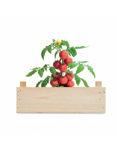 Tomato kit in wooden crate TOMATO |...