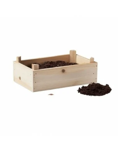 Tomato kit in wooden crate TOMATO |...