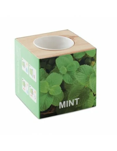 Herb pot wood 'MINT' MENTA | MO9337