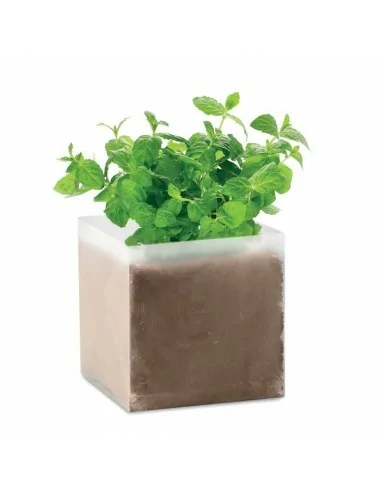 Compost with seeds 'MINT' MINT | MO9546