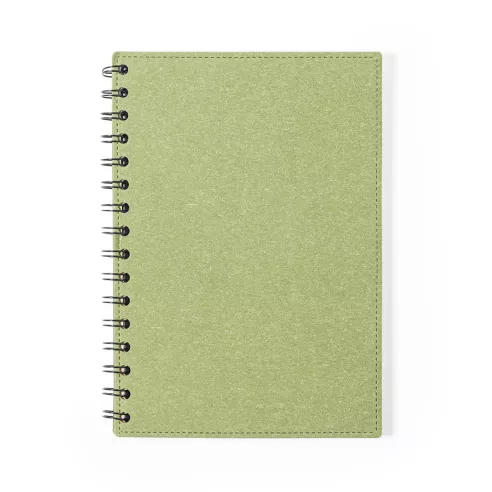 Notebook Idina
