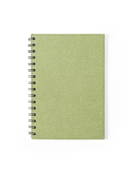 Notebook Idina