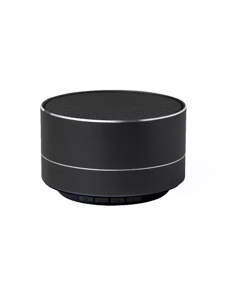 Speaker Skind