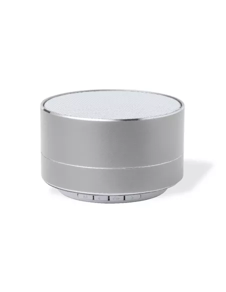 Speaker Skind