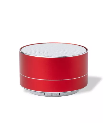 Speaker Skind