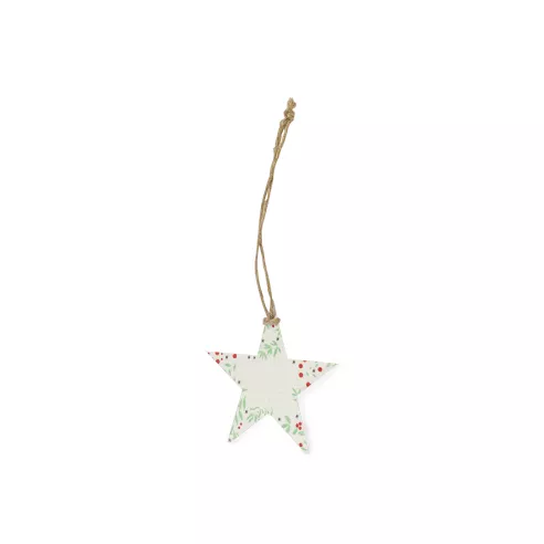 Seeds Christmas Decoration Boster