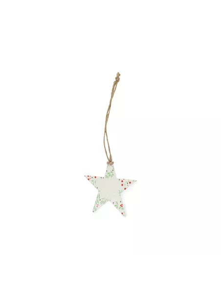Seeds Christmas Decoration Boster