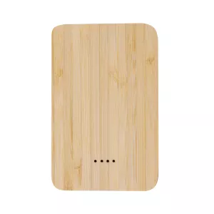 Power Bank Newin