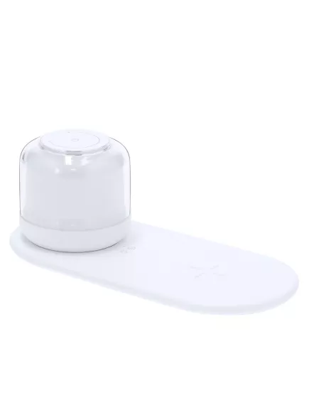 Charger Lamp Reginal