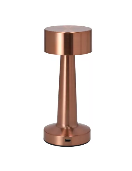 Lamp Rosity