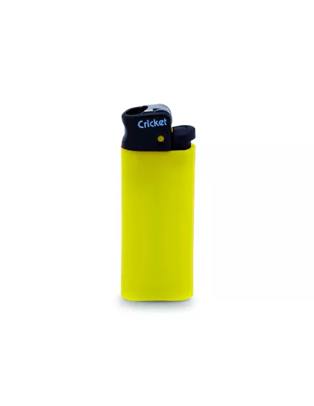 Lighter Minicricket