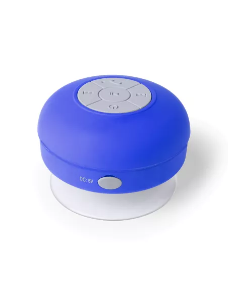 Speaker Rariax