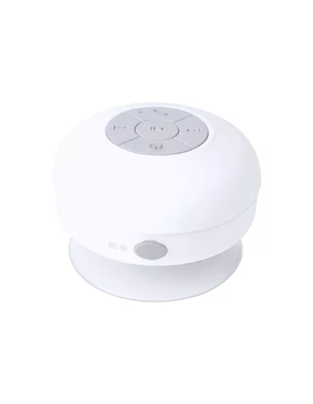 Speaker Rariax