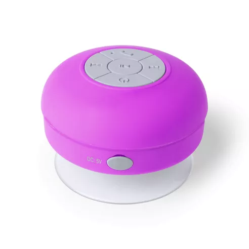Speaker Rariax
