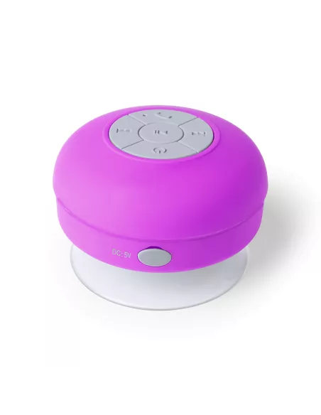 Speaker Rariax