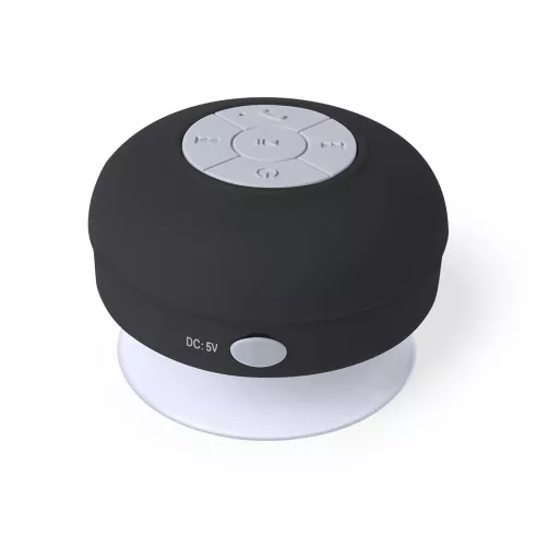 Speaker Rariax