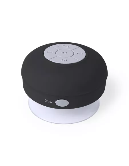 Speaker Rariax
