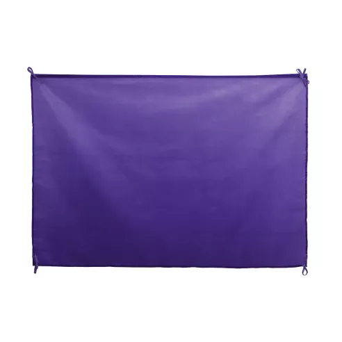 Flag Dambor