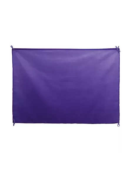 Flag Dambor
