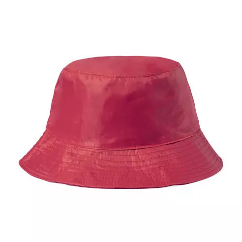 Reversible Hat Nesy