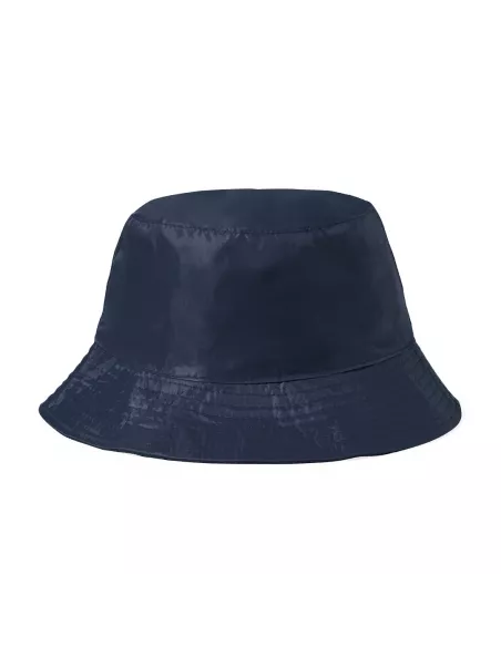 Reversible Hat Nesy