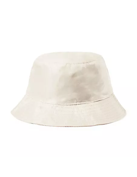 Reversible Hat Nesy