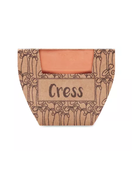 Terracotta pot cress seeds CRESS POT