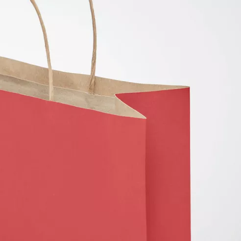 Medium Gift paper bag 90 gr/m² PAPER TONE M