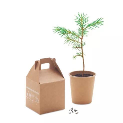 Set pino GROWTREE™