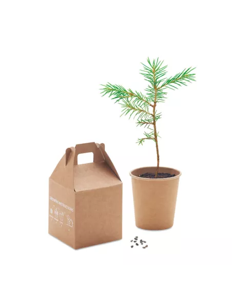 Set pino GROWTREE™