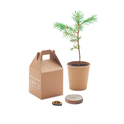 Set pino GROWTREE™