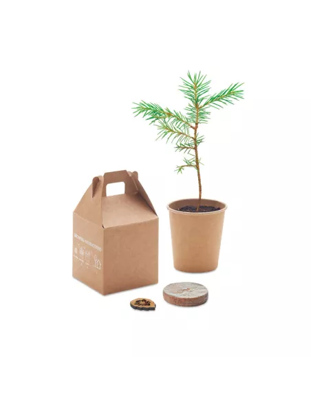 Set pino GROWTREE™