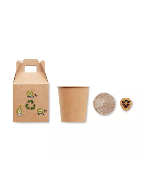 Set pino GROWTREE™