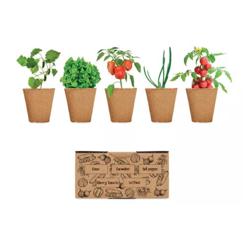 Salad growing kit SALAD