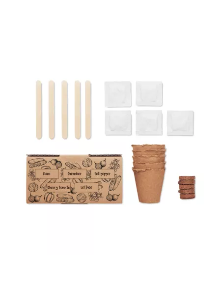 Salad growing kit SALAD
