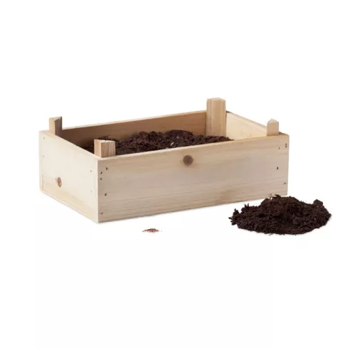 Strawberry kit in wooden crate STRAWBERRY